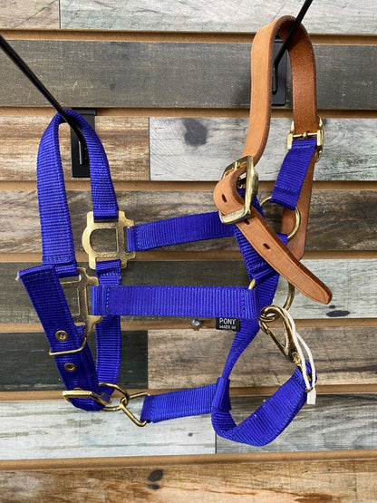 USED No Brand Royal Blue Pony Breakaway Halter
