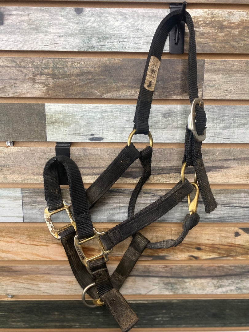 USED  Nylon Halter Average Black