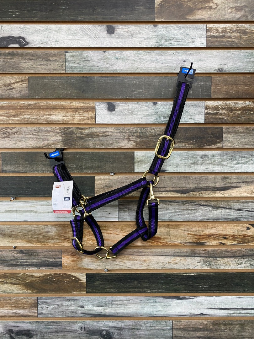 USED Black & Purple Average Weaver Adjustable Nylon Halter