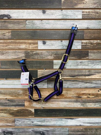 USED Black & Purple Average Weaver Adjustable Nylon Halter