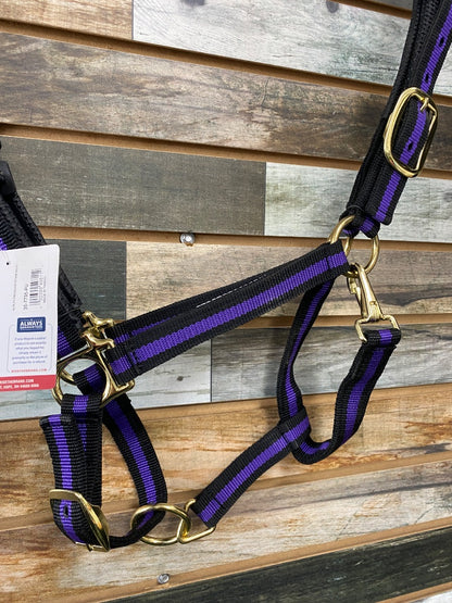 USED Black & Purple Average Weaver Adjustable Nylon Halter