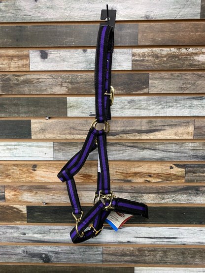 USED Black & Purple Average Weaver Adjustable Nylon Halter