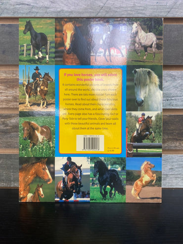 USED  The Horse Poster Book - 30 Fantastic Posters