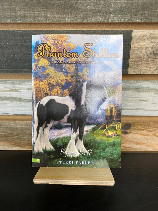 USED "Gypsy Gold (Phantom Stallion, No. 23)": Terri Farley