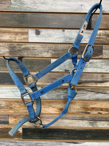 USED Weaver Adjustable Nylon Halter Large Horse Light Blue