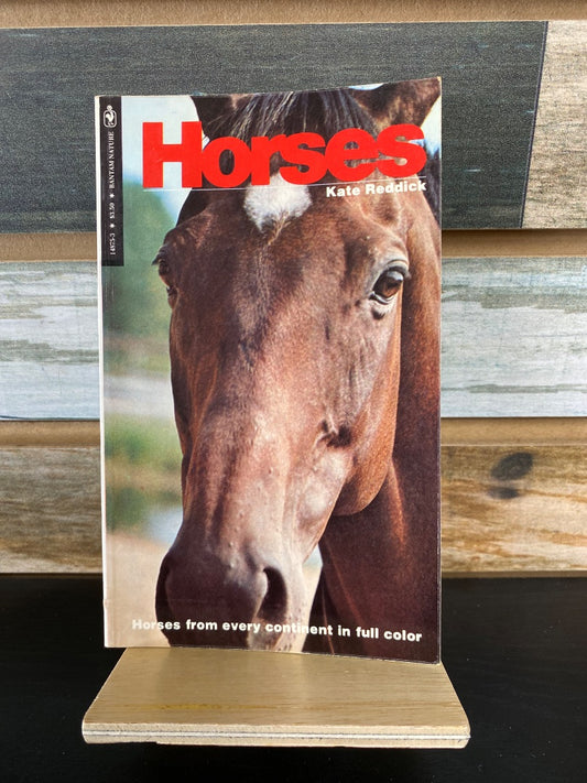USED "Horses": Kate Reddick
