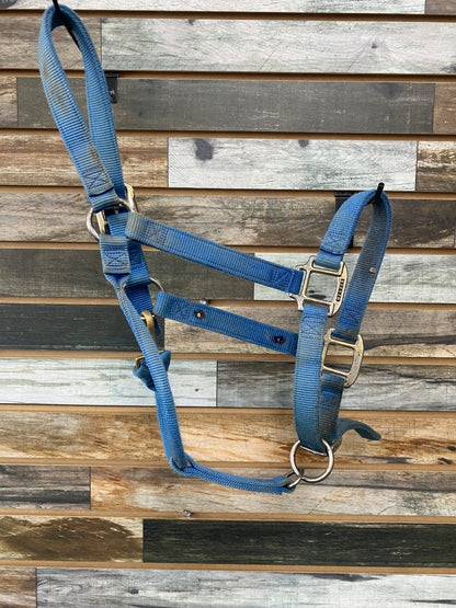 USED Weaver Adjustable Nylon Halter Large Horse Light Blue