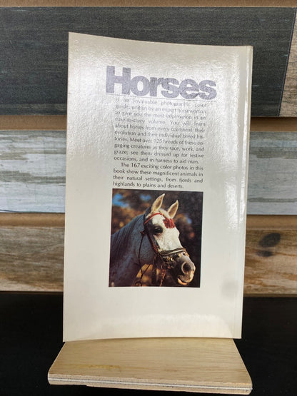 USED "Horses": Kate Reddick