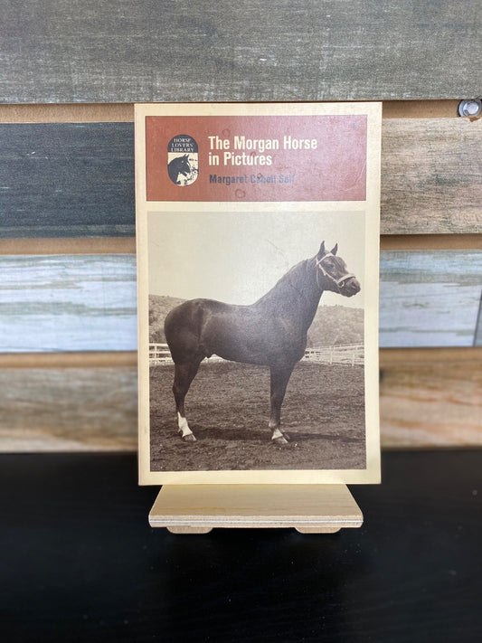 USED "The Morgan Horse": Margaret Cabell Self