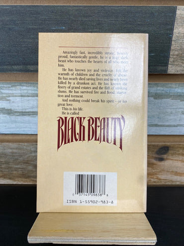 USED Black Beauty
