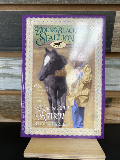 USED Young Black Stallion the Horse Called Raven