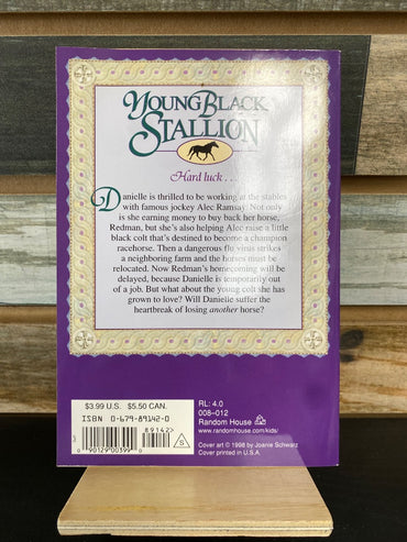 USED Young Black Stallion the Horse Called Raven