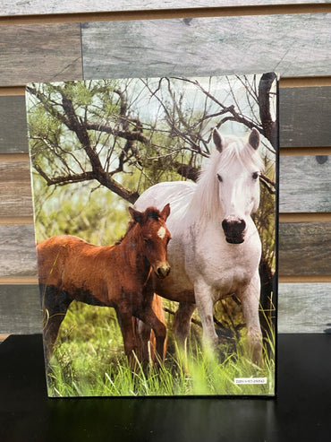 USED  Horses, The color Nature Library by Jane Burton
