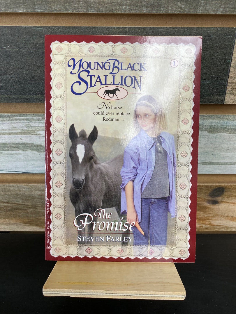 USED Young Black Stallion the Promise