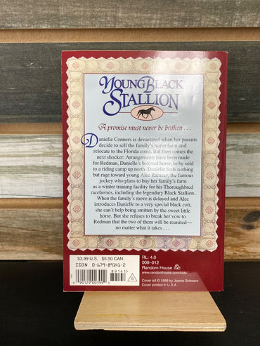 USED Young Black Stallion the Promise
