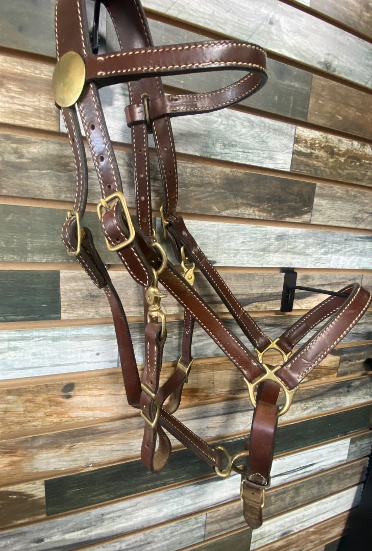 USED Tucker Halter/Bridle Horse Dark Oil w/BrassFittings