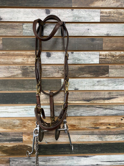 USED Halter-Bridle Combo with Walking Horse Bit