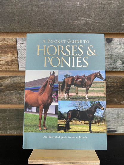USED "A Pocket Guide To Horses & Ponies" by Corinne Clark