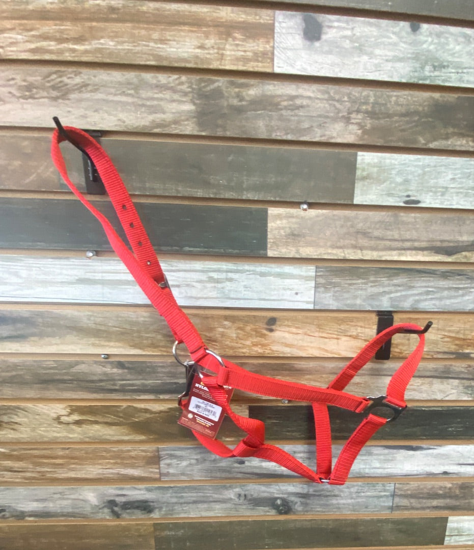 USED  NWT Tough 1 Economy Nylon Halter, Red