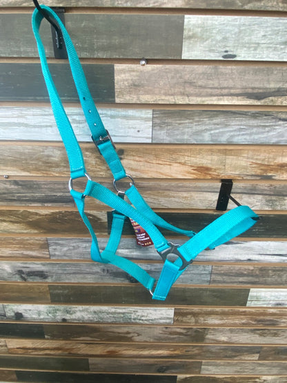 USED Tough1 NWT  Economy Nylon Halter, Teal