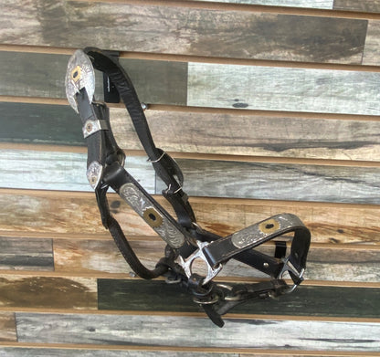 USED Showman  Leather Show Halter, Black w/Silver