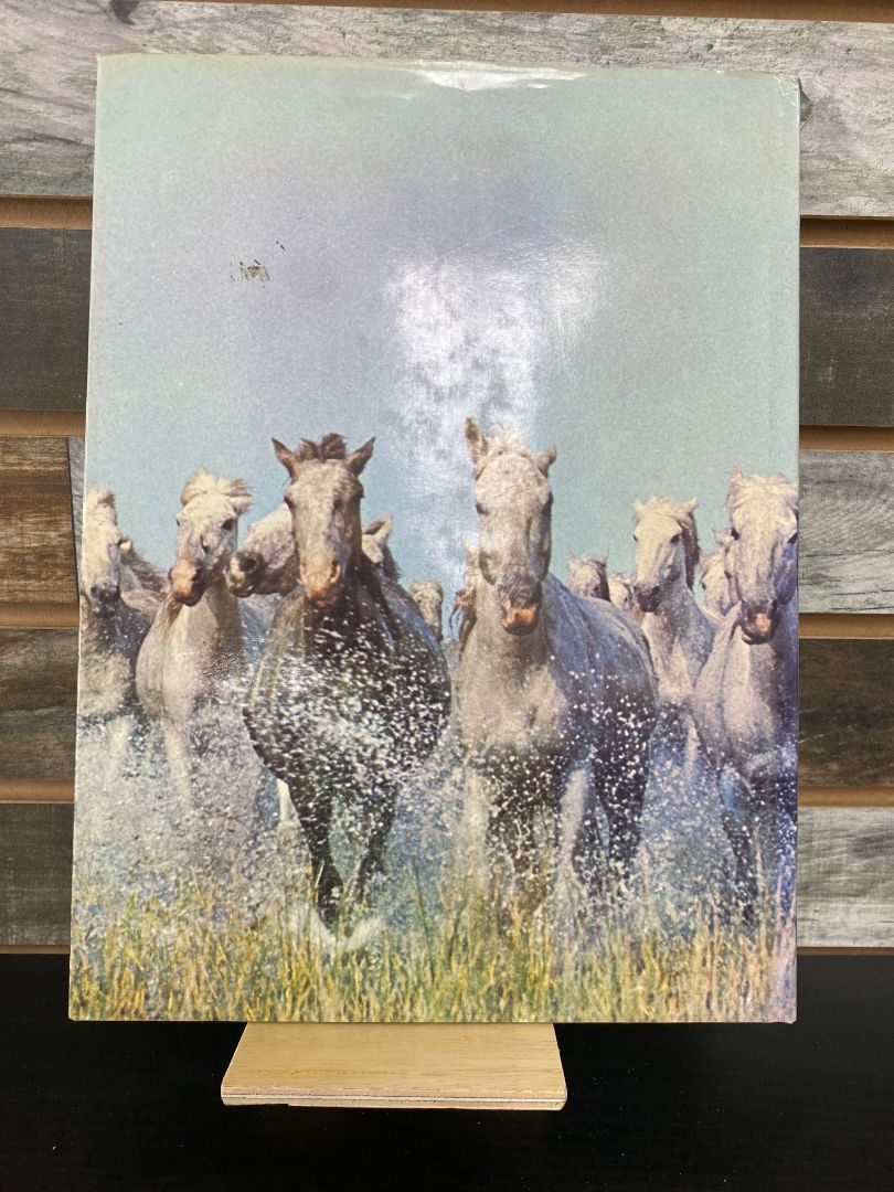 USED  "The Love of Horses": Anne Alcock