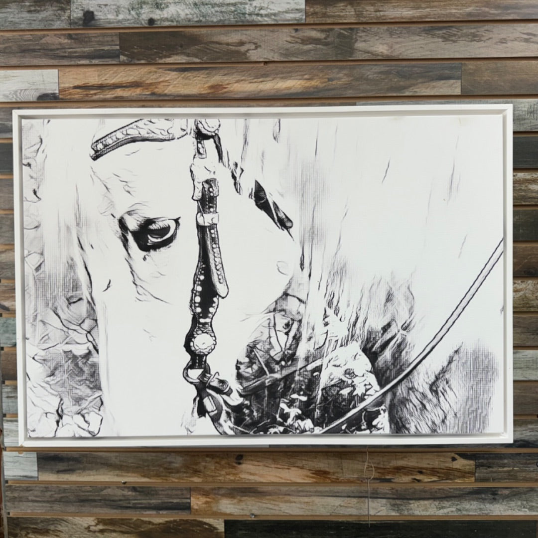 USED  Canvas Horse Art Print 26x39 White