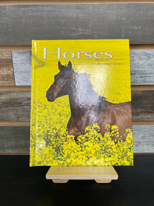 USED Rita Mabel Schiava Horses