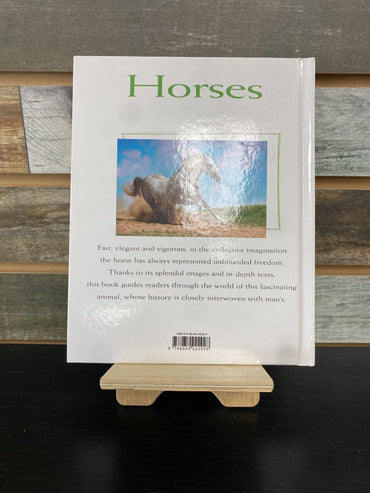 USED Rita Mabel Schiava Horses