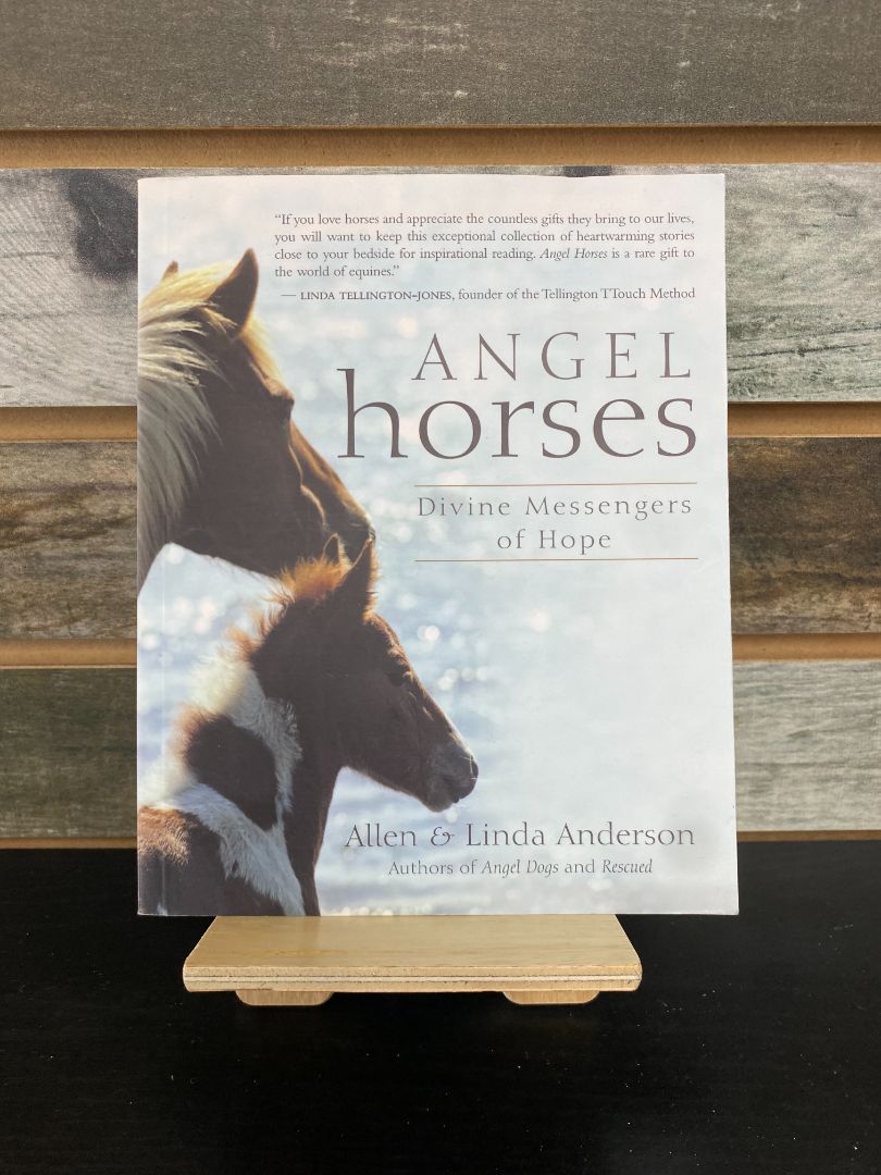 USED "Angel Horses: Divine Messengers of Hope" by Allen & Linda Anderson