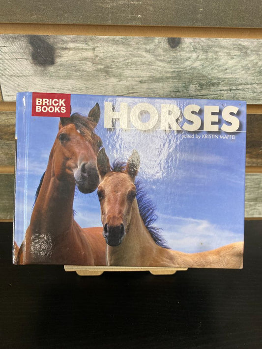 USED HORSES by Kristin Maffei