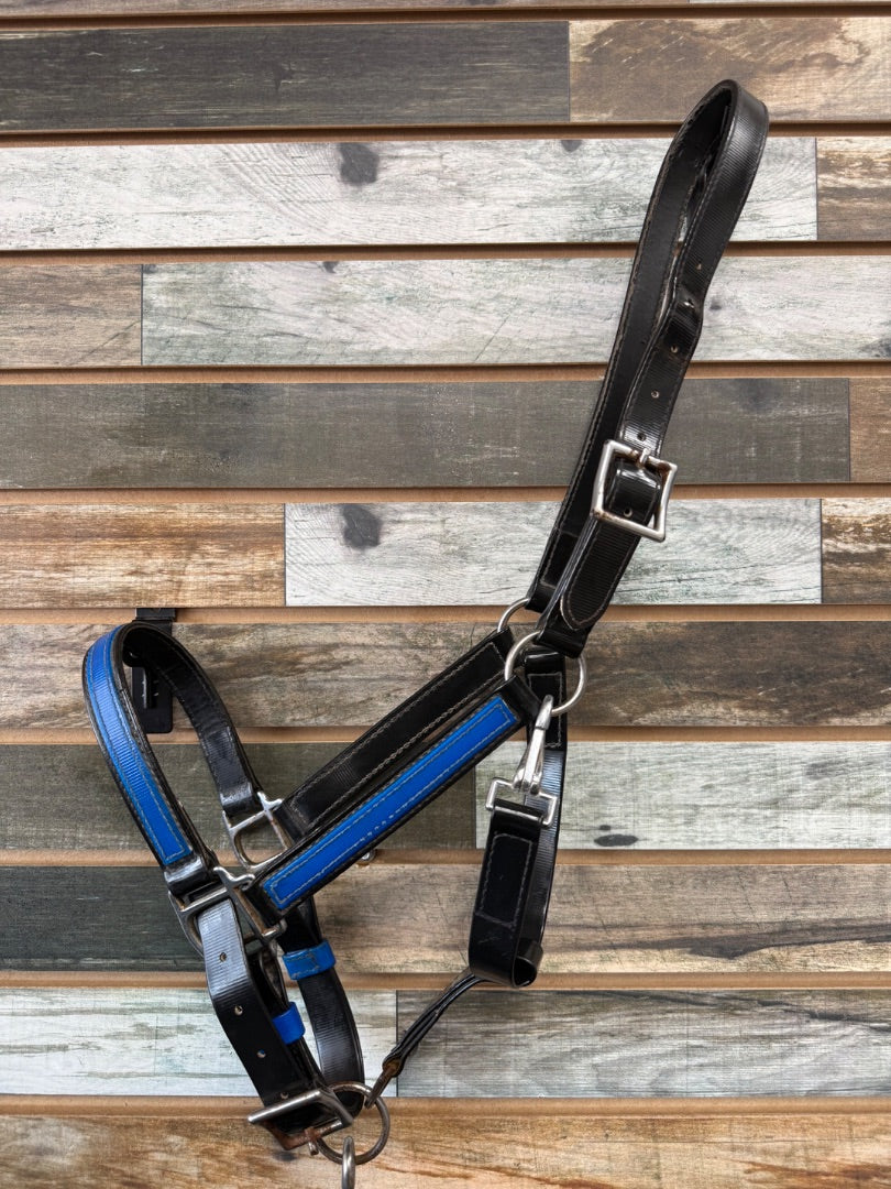 USED  Biothane Halter & Lead Horse Black/Blue