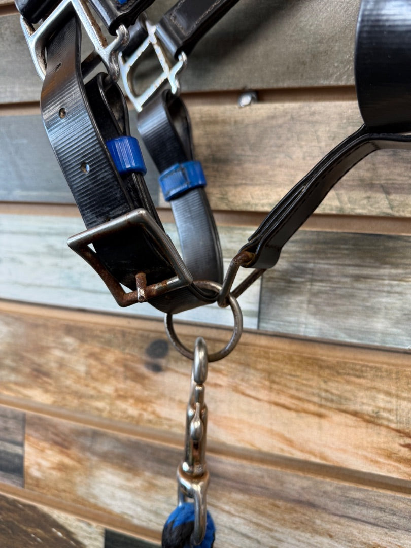 USED  Biothane Halter & Lead Horse Black/Blue