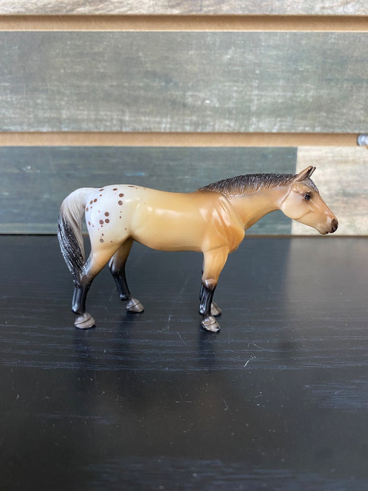 USED  Quarter Horse Buckskin Appolosa