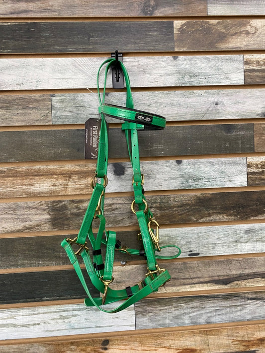 USED Horze Biothane Trail Bridle Horse Lime Green