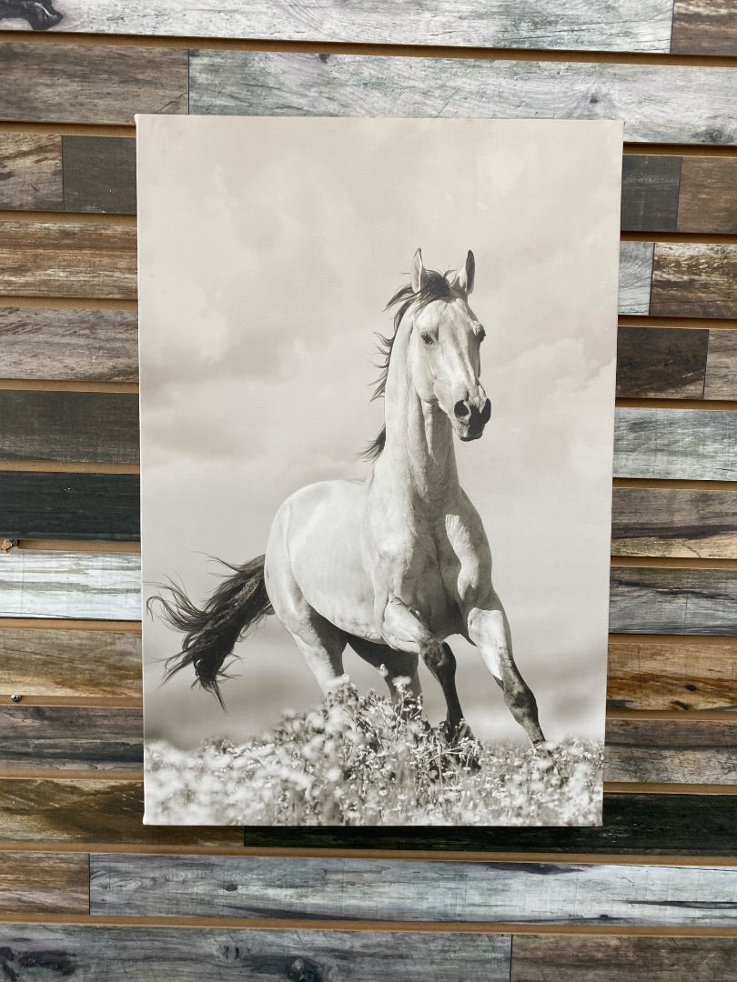 USED  Grey Running Horse Photo 24x16in Black & White