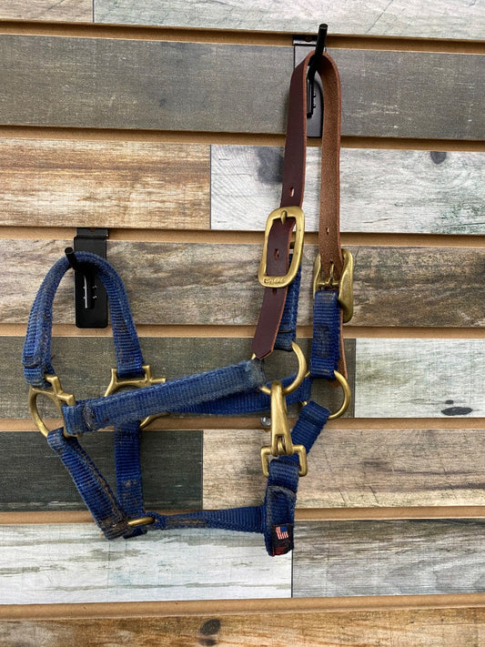 USED Walsh Breakaway Halter Yearling / Pony Blue