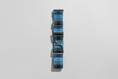 Stirrup belt buckle with Blue Plaid
