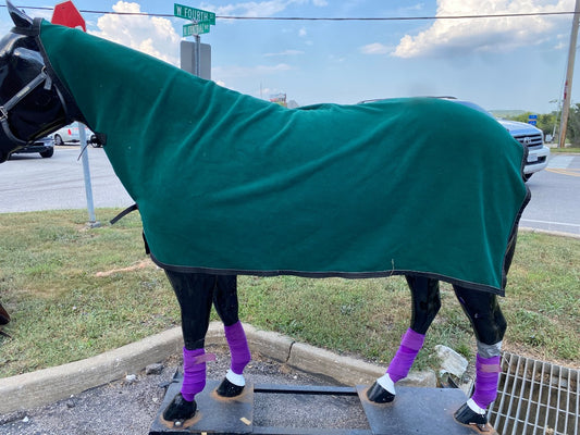 USED Polartec Fleece Cooler 84"x90" Green