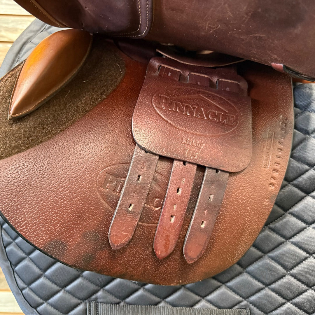 USED Pinnacle English Saddles 15"