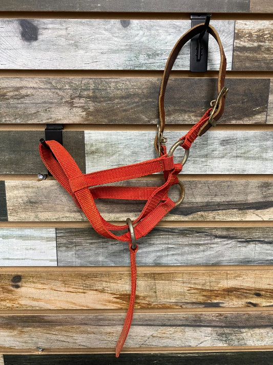 USED  Breakaway Halter Weanling Red