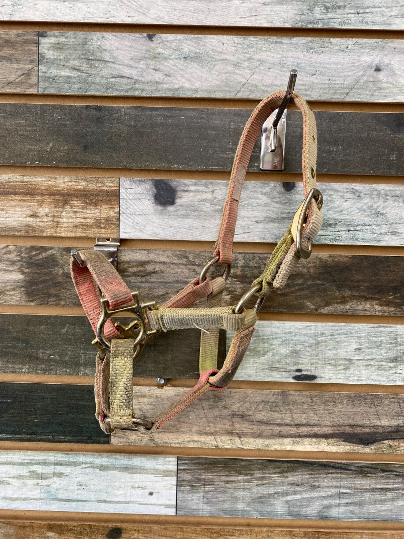 USED  Nylon Halter Suckling Green/Pink