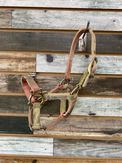 USED  Nylon Halter Suckling Green/Pink