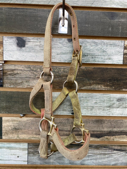 USED  Nylon Halter Suckling Green/Pink