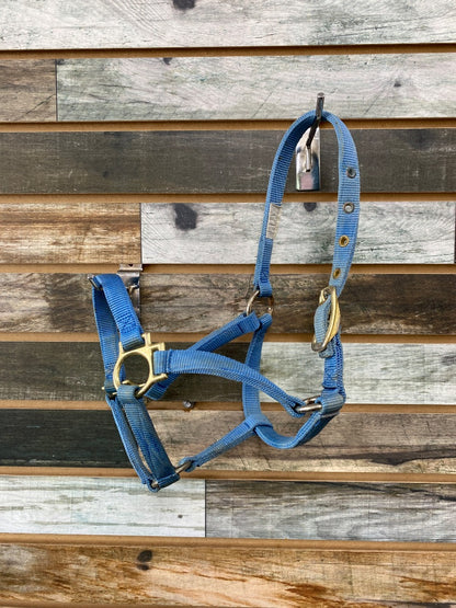 USED  Nylon Halter Small Pony Light Blue