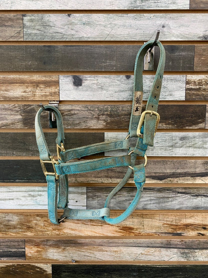 USED Weaver Nylon Halter Average Light Blue