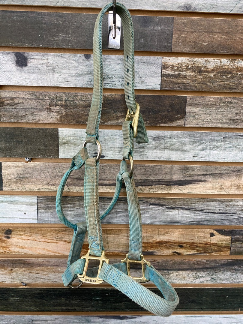 USED Weaver Nylon Halter Average Light Blue