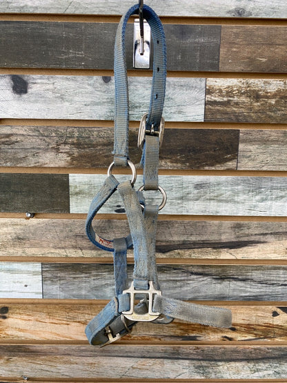 USED Hamilton Nylon Halter Large Pony Light Blue