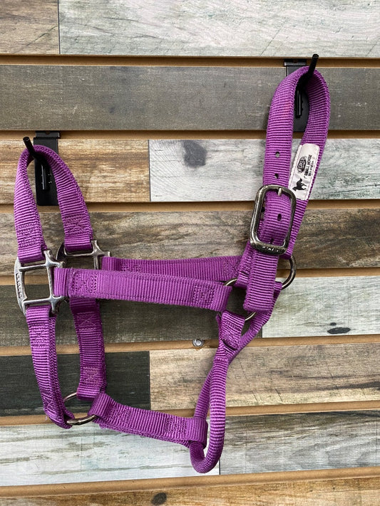 USED Weaver Nylon Halter Small Horse Purple