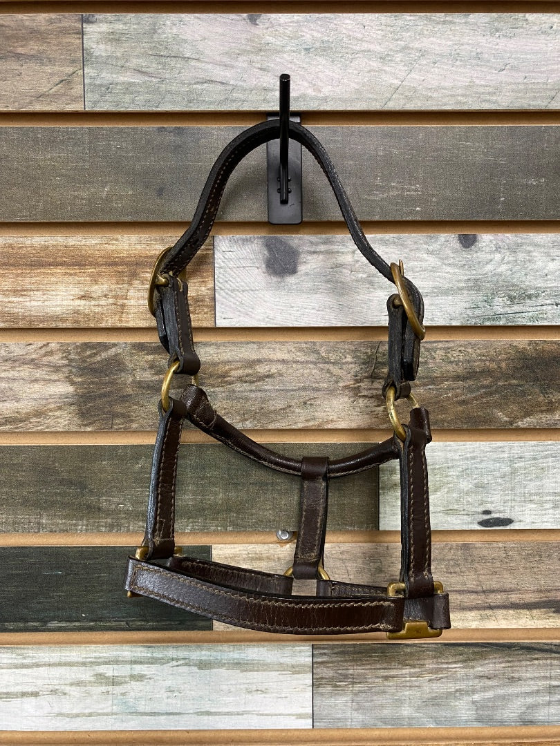 USED  Leather Halter Miniature Horse Brown